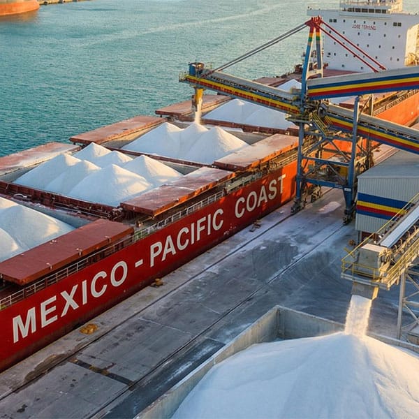 Export Terminals Urea NPK