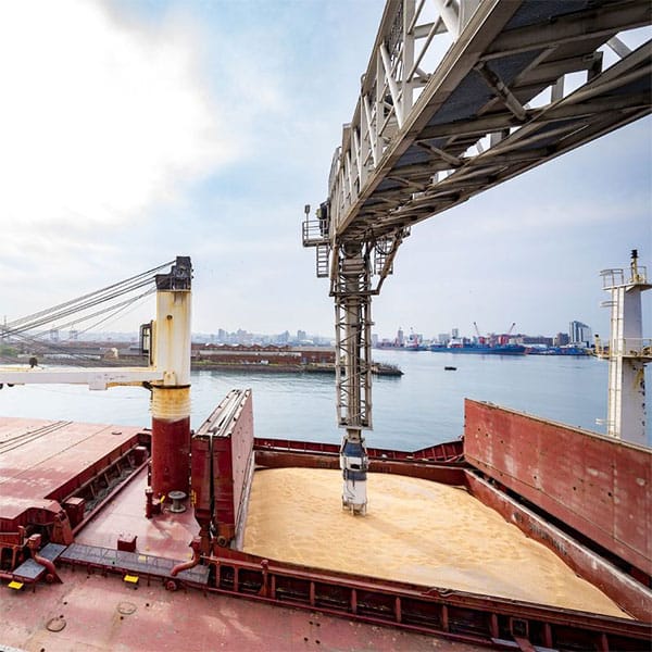 grain ship loader